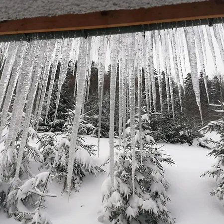 Appartement Na Malinowej